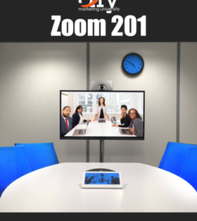 Zoom 201