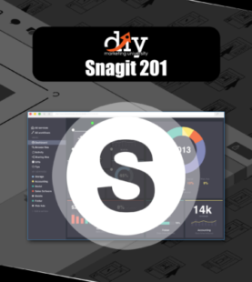 Snagit 201