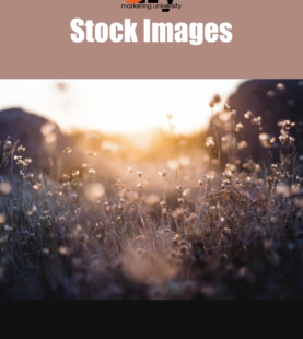 Stock Images